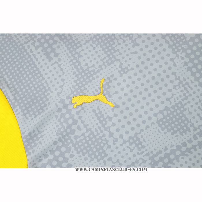 Camiseta de Entrenamiento Borussia Dortmund 25-26 Gris